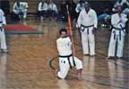 Black Belt Weapons Kata