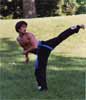 A young blue belt practicing side kicks