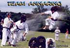 Sensei McFarland doing Jump Sidekick Breaking
