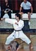Brown Belt Kata Competition