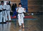 Women's Black Belt Weapons Kata - (Sai)